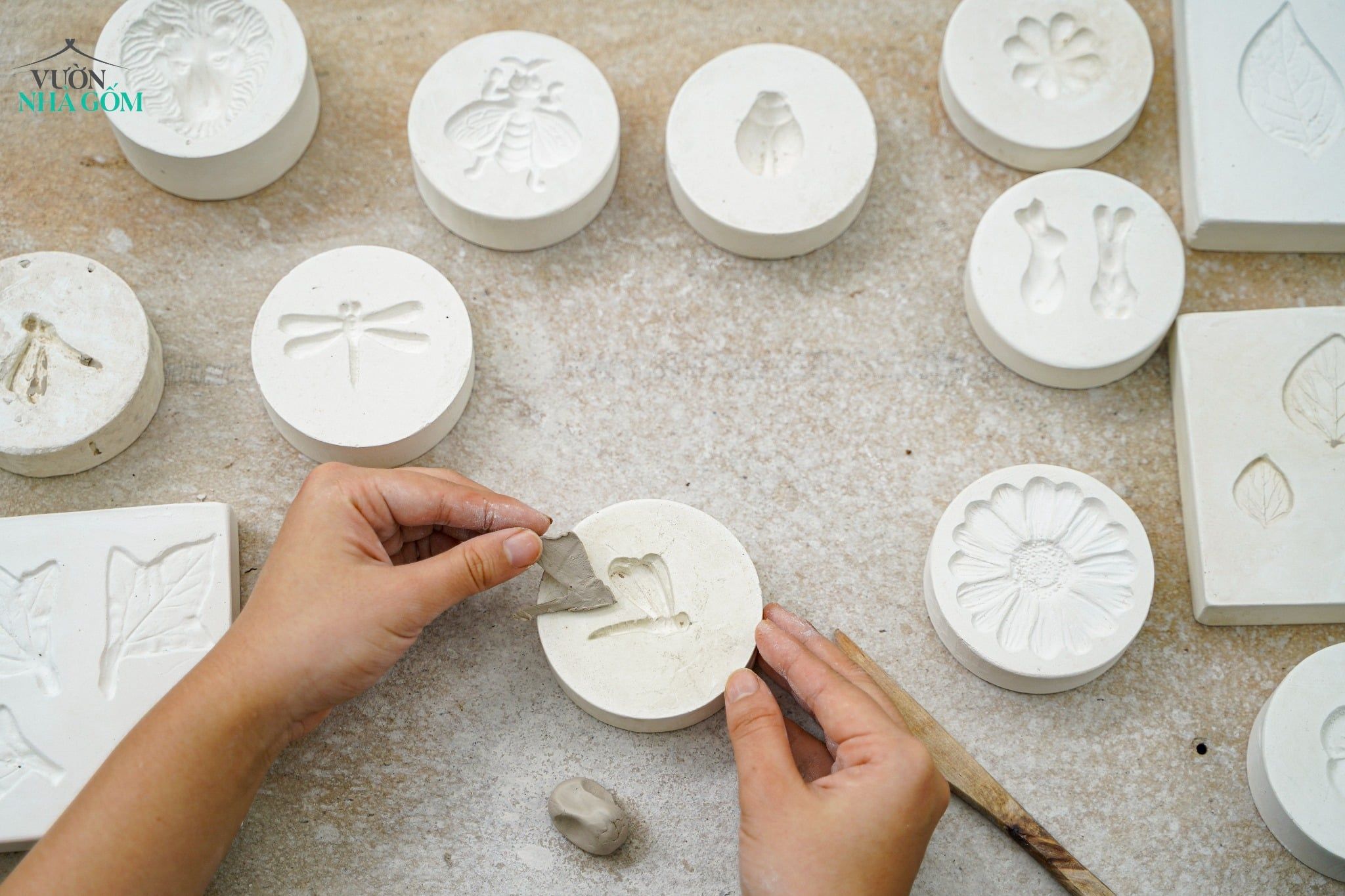  Khuôn in cỏ 4 lá (Cái) 