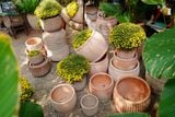  Chậu Sọc Đũa Gốm Đất Nung, Chậu Gốm Trồng Cây Sân Vườn, Chậu Đất Nung. 
