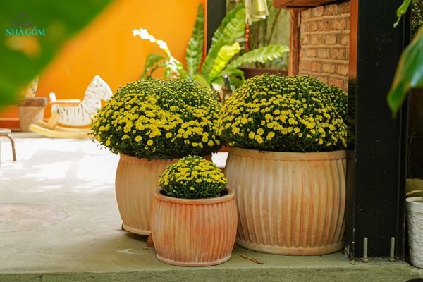  Chậu Sọc Đũa Gốm Đất Nung, Chậu Gốm Trồng Cây Sân Vườn, Chậu Đất Nung. 
