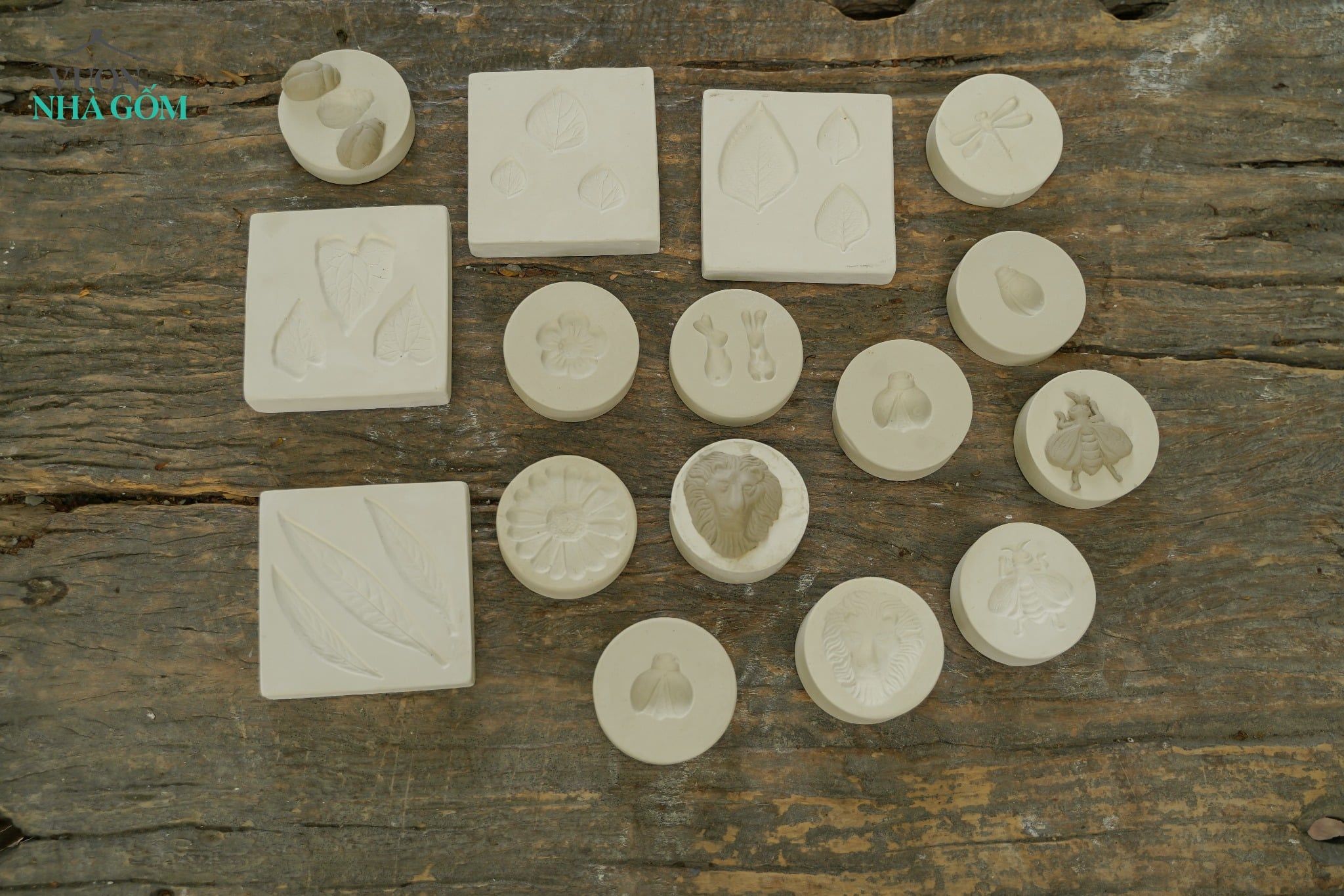  Khuôn in Sư Tử 8cm (Cái) 