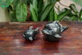  Tượng Thú Gốm Cá Gốm Nhiều Chuyện, Thú Gốm Nam Bộ, Gốm Trang Trí, Decor. 