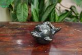  Tượng Thú Gốm Cá Gốm Nhiều Chuyện, Thú Gốm Nam Bộ, Gốm Trang Trí, Decor. 