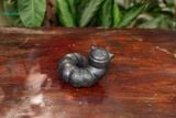  Tượng Thú Gốm Con Sâu Vui Vẻ, Thú Gốm Nam Bộ, Trang Trí Sân Vườn, Quà Tặng Ngộ Nghĩnh. 