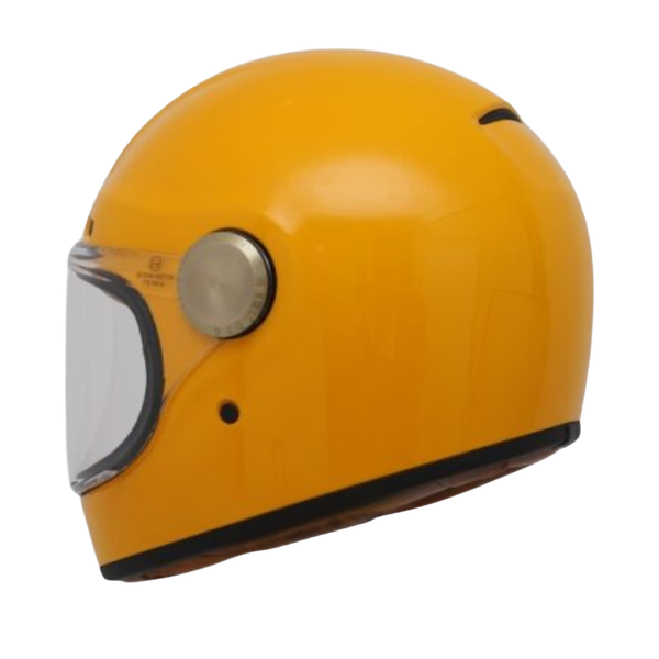 Bulldog Shiba Vàng bóng