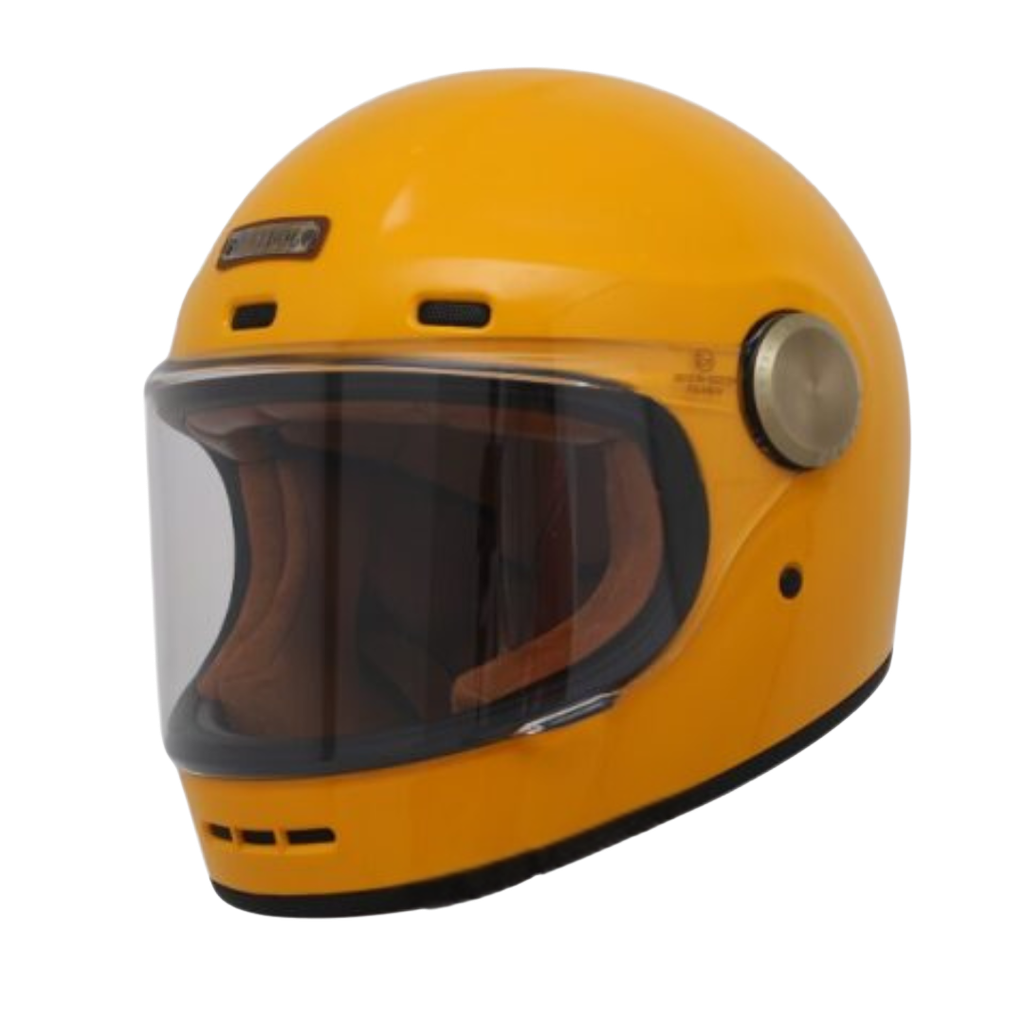 Bulldog Shiba Vàng bóng