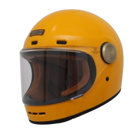 Bulldog Shiba Vàng bóng