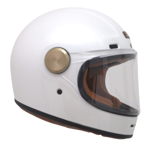 Bulldog Shiba Trắng bóng