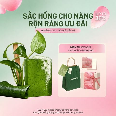 XÀ BÔNG KHÁNG KHUẨN TRẦU KHÔNG