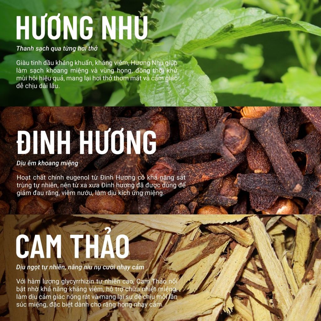 Khuyến Mãi Mùa Hè - COMBO HƠI THỞ THƠM NGÁT