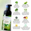Bọt Vệ Sinh Rau Má Khổ Qua Rừng Thuần Chay Làm Sạch Khuẩn, Kháng Viêm, Khử Mùi 100ML