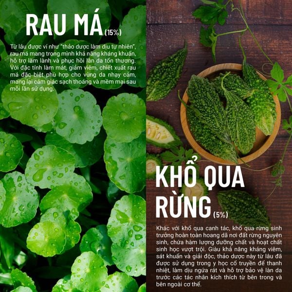 Bọt Vệ Sinh Rau Má Khổ Qua Rừng Thuần Chay Làm Sạch Khuẩn, Kháng Viêm, Khử Mùi 100ML