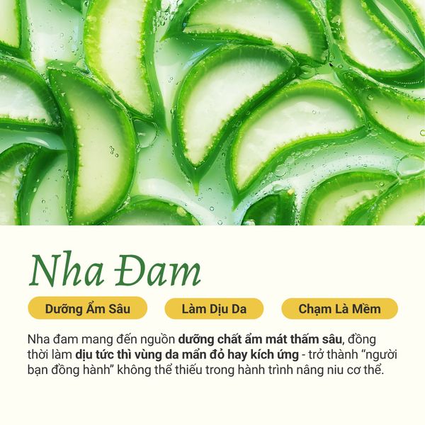 Gel Dưỡng Ẩm Nha Đam 300Gram - Làm Dịu, Dưỡng Ẩm, Mềm Mịn Da