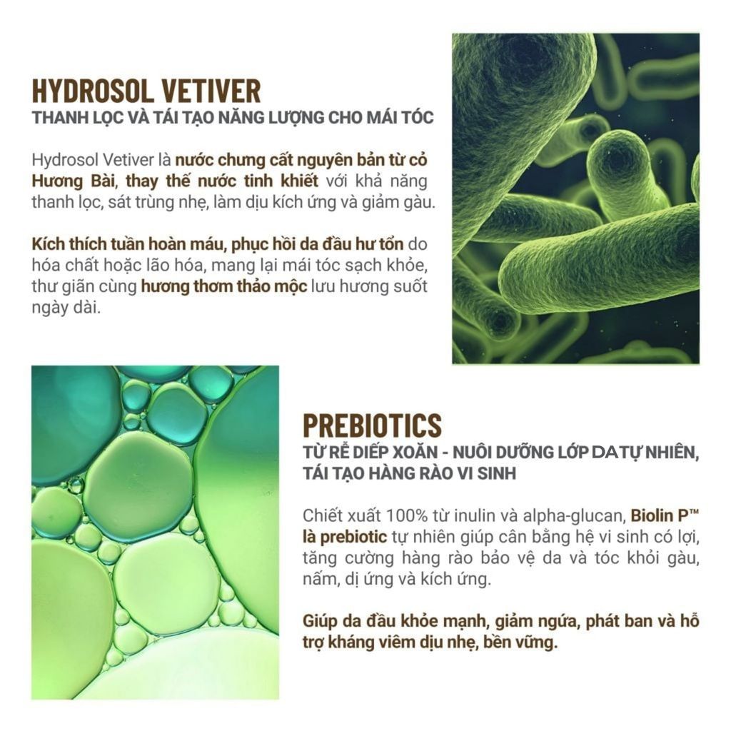 Gel Tắm Gội Lá Khế Bồ Hòn Giảm Gàu, Giảm Nhờn, Kháng Nấm 300ml - 500ml