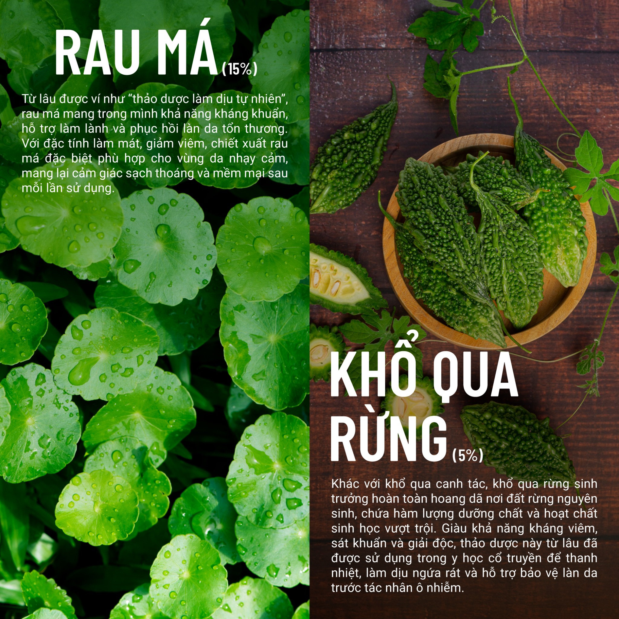 Gel Tắm Rau Má Khổ Qua Rừng Thuần Chay Giảm Rôm Sẩy, Dưỡng Ẩm, Da Sáng ...