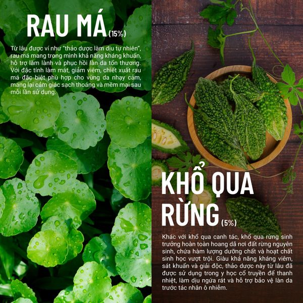 Gel Tắm Rau Má Khổ Qua Rừng Thuần Chay Giảm Rôm Sẩy, Dưỡng Ẩm, Da Sáng Mịn Màng 300/500ML