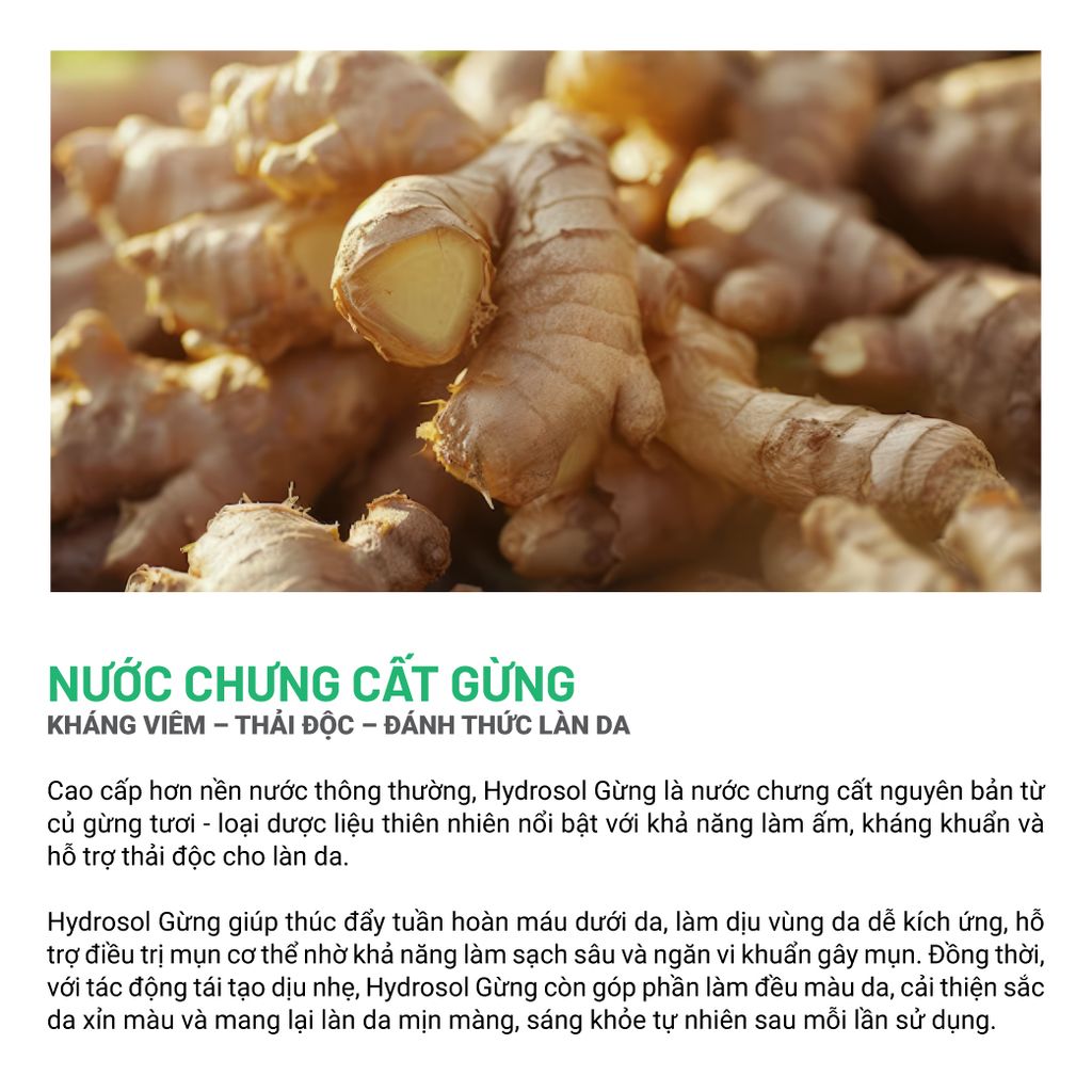 Gel Tẩy Da Chết Cơ Thể Gừng Tràm Trà Hương Hoa Trà Trắng 120/200Gram