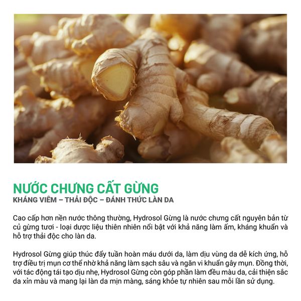 Gel Tẩy Da Chết Cơ Thể Gừng Tràm Trà Hương Hoa Trà Trắng 120/200Gram