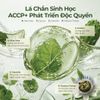 [NEW] KEM CHỐNG NẮNG DƯỠNG TRẮNG XƯƠNG RỒNG 40ML