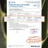 [NEW] KEM CHỐNG NẮNG DƯỠNG TRẮNG XƯƠNG RỒNG 40ML