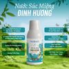 Nước Súc Miệng Thảo Dược Thuần Chay Đinh Hương Sạch Khuẩn, Tiêu Viêm, Thơm Mát Tự Nhiên 150ml