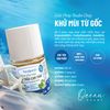 Serum Khử Mùi Thuần Chay Lá Trầu Cam Thảo - Khử Mùi, Sáng Mịn, Mờ Thâm 30ml