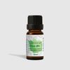 Tinh Dầu Bạc Hà Nguyên Chất Heebee 10Ml - Peppermint Organic Essential Oil