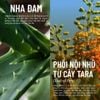 Xà Bông Rửa Mặt Thuần Chay Nha Đam Dưỡng Ẩm, Chống Lão Hóa Heebee  Aloe Vera Natural Soap Bar 100Gram
