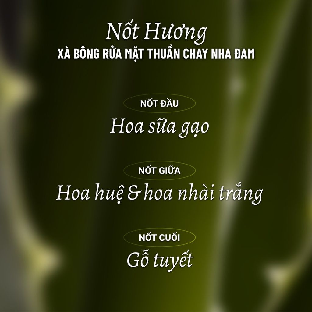 Xà Bông Rửa Mặt Thuần Chay Nha Đam Dưỡng Ẩm, Chống Lão Hóa Heebee  Aloe Vera Natural Soap Bar 100Gram