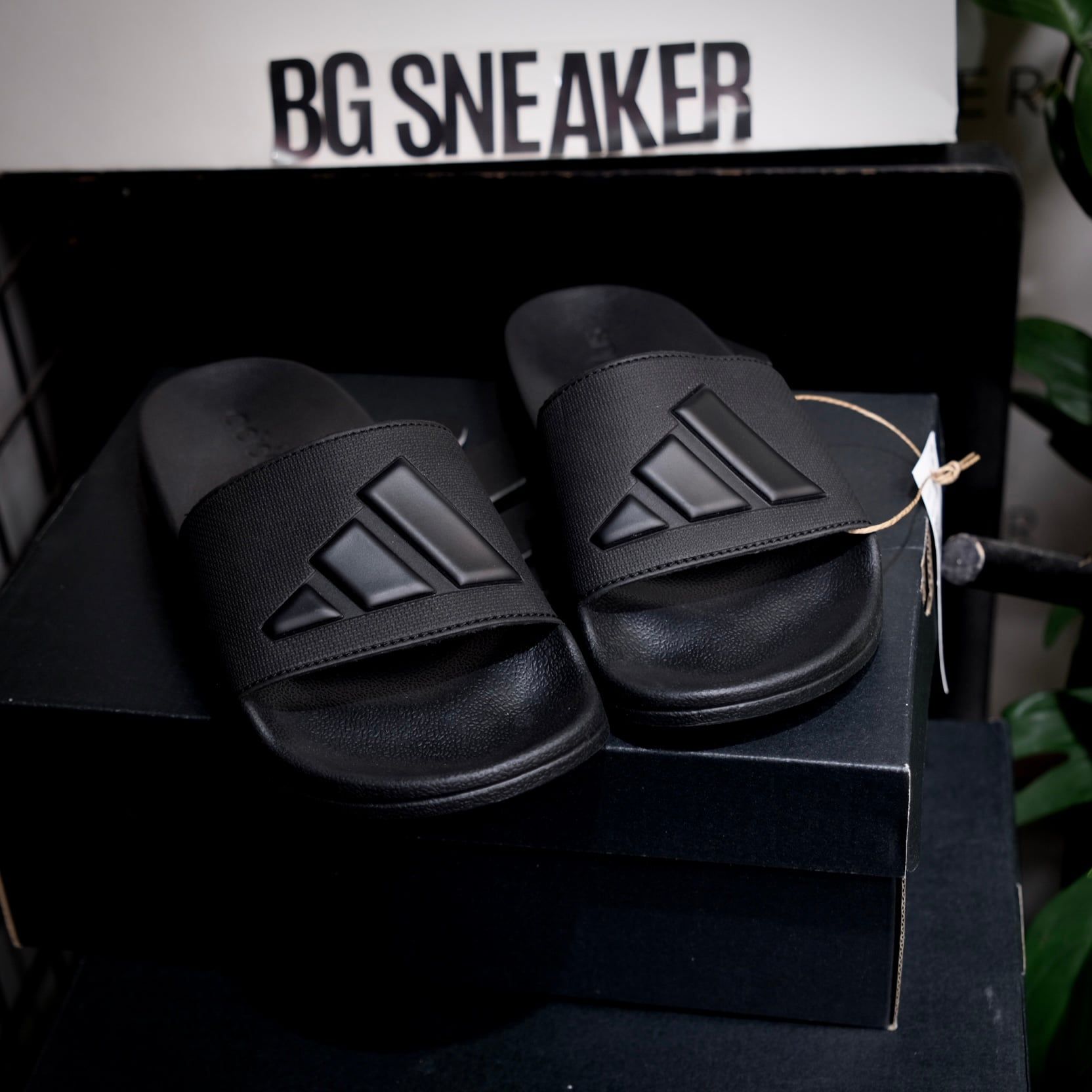  Dép Adidas Adilette Shower Flops Black  JS2039 