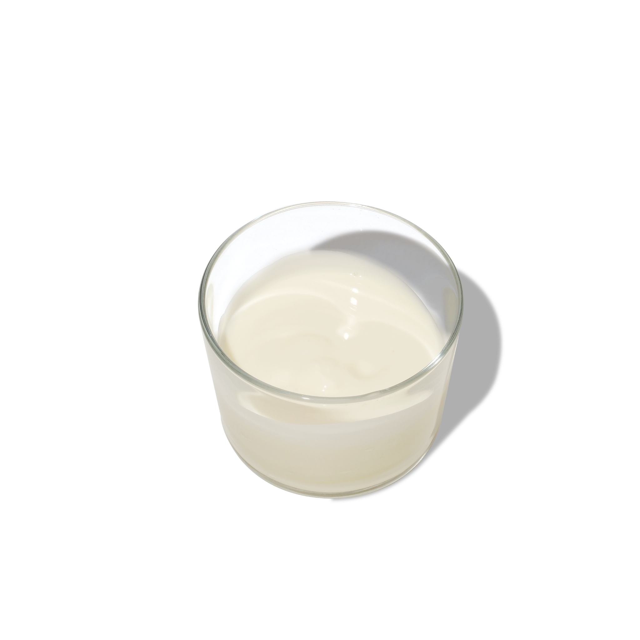  Handmade Greek Yogurt 