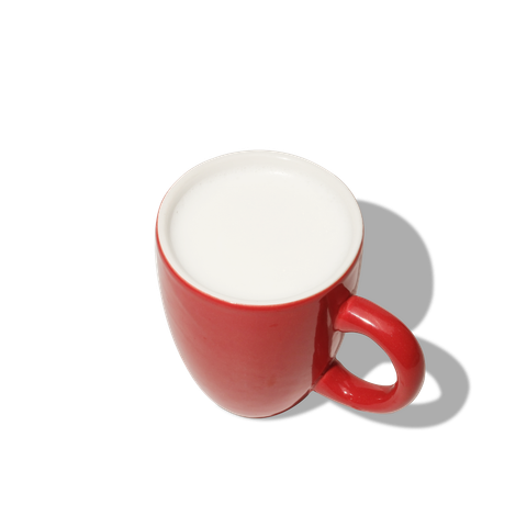  Pasteurized Fresh Milk 