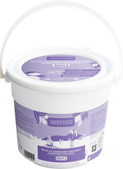 Sô-cô-la compound ChocoNut M053 12x1 KG - 4029153