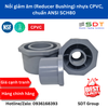 Nối giảm nhựa CPVC SCH80 - SHIEYU (DFP)