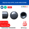 Đầu bịt nhựa UPVC SCH80 - SHIEYU (DFP)