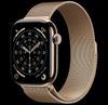Apple Watch Series 11 GPS + Cellular - Viền Titan Dây Thép Mlan