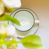 Bộ đĩa và Ly sứ Ancap Cappuccino vẽ tay viền, 190ml - Hàng Táo Tám