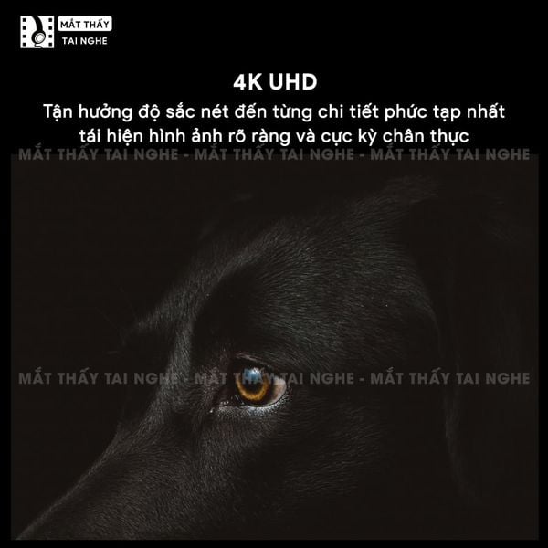 Xgimi Titan - Máy chiếu 4K chuyên nghiệp đầu tiên của Xgimi, sử dụng công nghệ Laser kép cao cấp, độ phân giải chuẩn 4K UHD, độ sáng 5000 ISO Lumens, tương phản 5.000.000:1, đạt chứng nhận IMAX Enhanced & Dolby Vision và tích hợp loa Harman Kardon