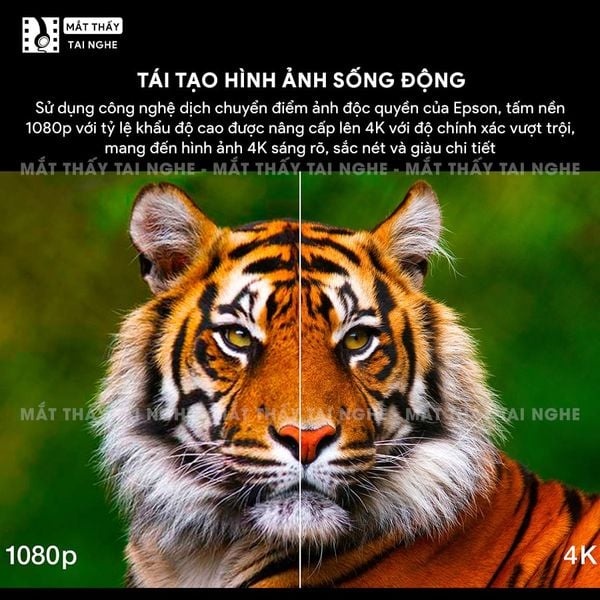 Epson EH-LS12000 - Máy chiếu chuyên dụng cho home cinema cao cấp, sử dụng công nghệ 3LCD độc quyền kết hợp nguồn sáng Laser tiên tiến, độ sáng 2.700 ansi lumens, độ phân giải 4K UHD và tương phản cực cao 2.500.000:1
