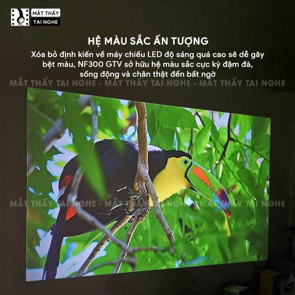 Xview NF300 GTV - Máy chiếu LED LCD sáng nhất hiện nay, độ sáng lên đến 1.800 ansi, phân giải thực chuẩn Full HD 1080p, hỗ trợ hệ điều hành Google TV mượt mà và chứng chỉ xem Netflix