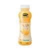 来富芒果珍珠奶茶 300ml