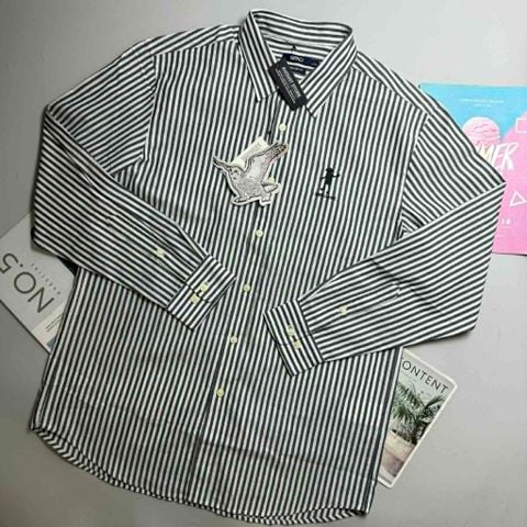 SƠ MI DT SP.AO HARRY POTTER REGULAR FIT 3910