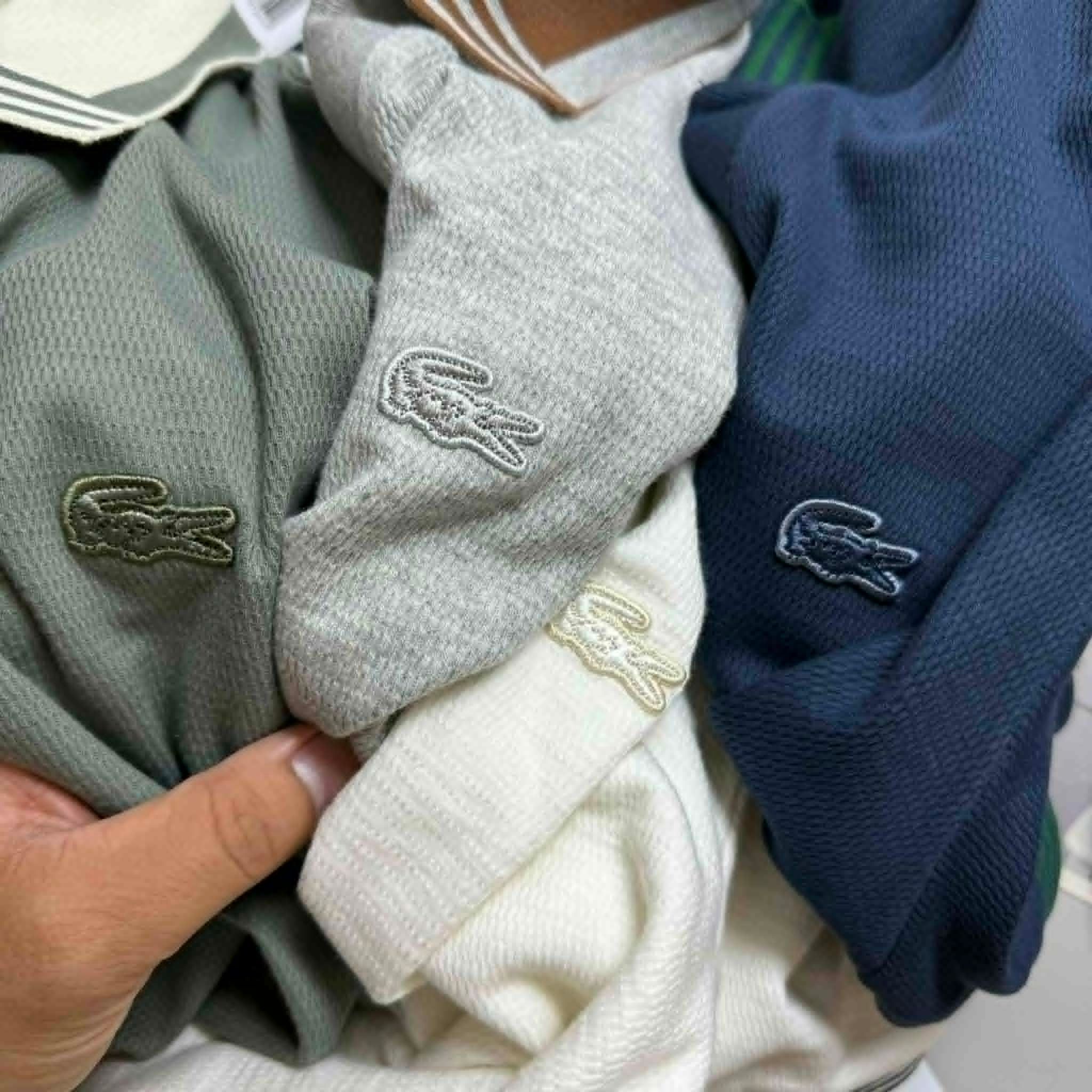 POLO LA.COSTE CỔ V VIỀN KẺ SLIM 7650