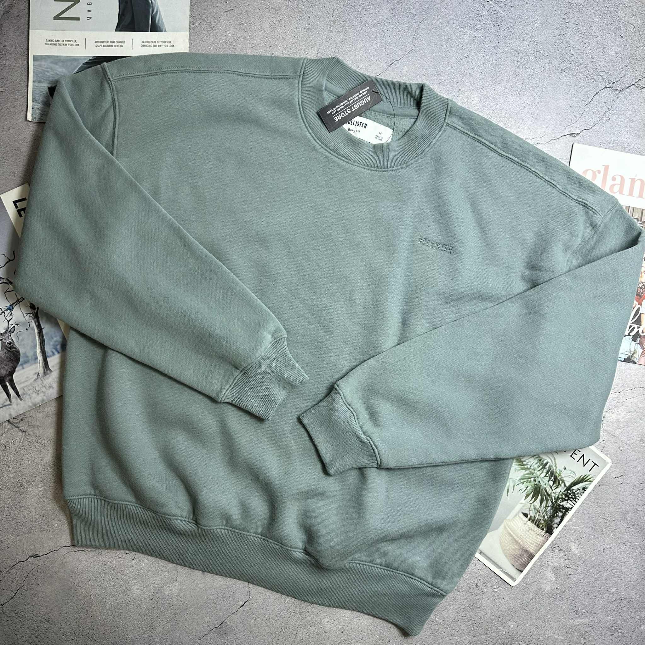 ÁO NỈ LÔNG HOL.LISTER TRƠN MÀU BOXY FIT 3661