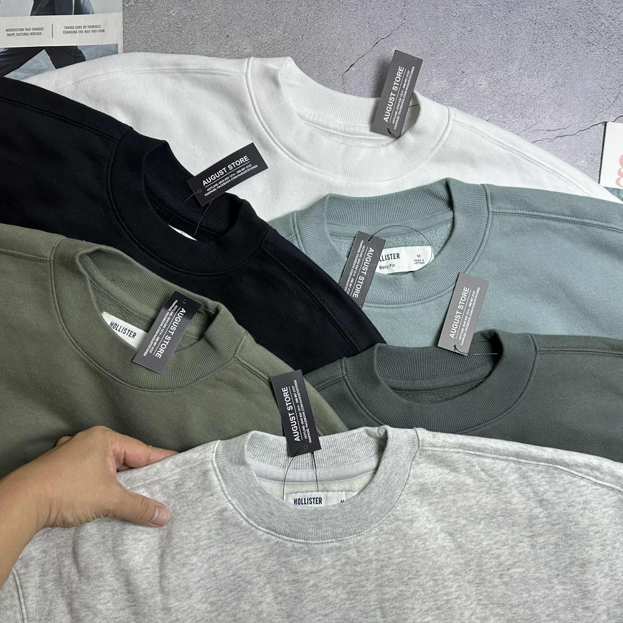 ÁO NỈ LÔNG HOL.LISTER TRƠN MÀU BOXY FIT 3661