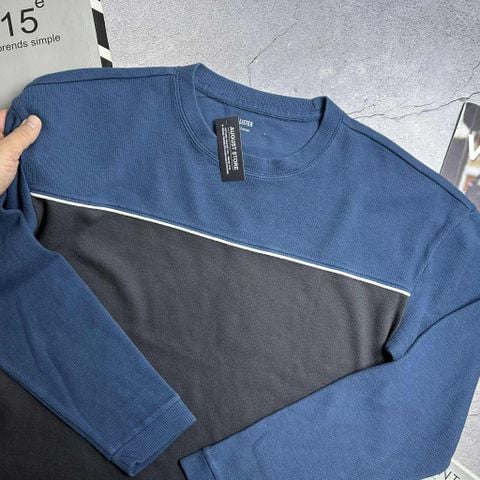 ÁO DT HOL.LISTER PHỐI MÀU FORM BOXY FIT 3665