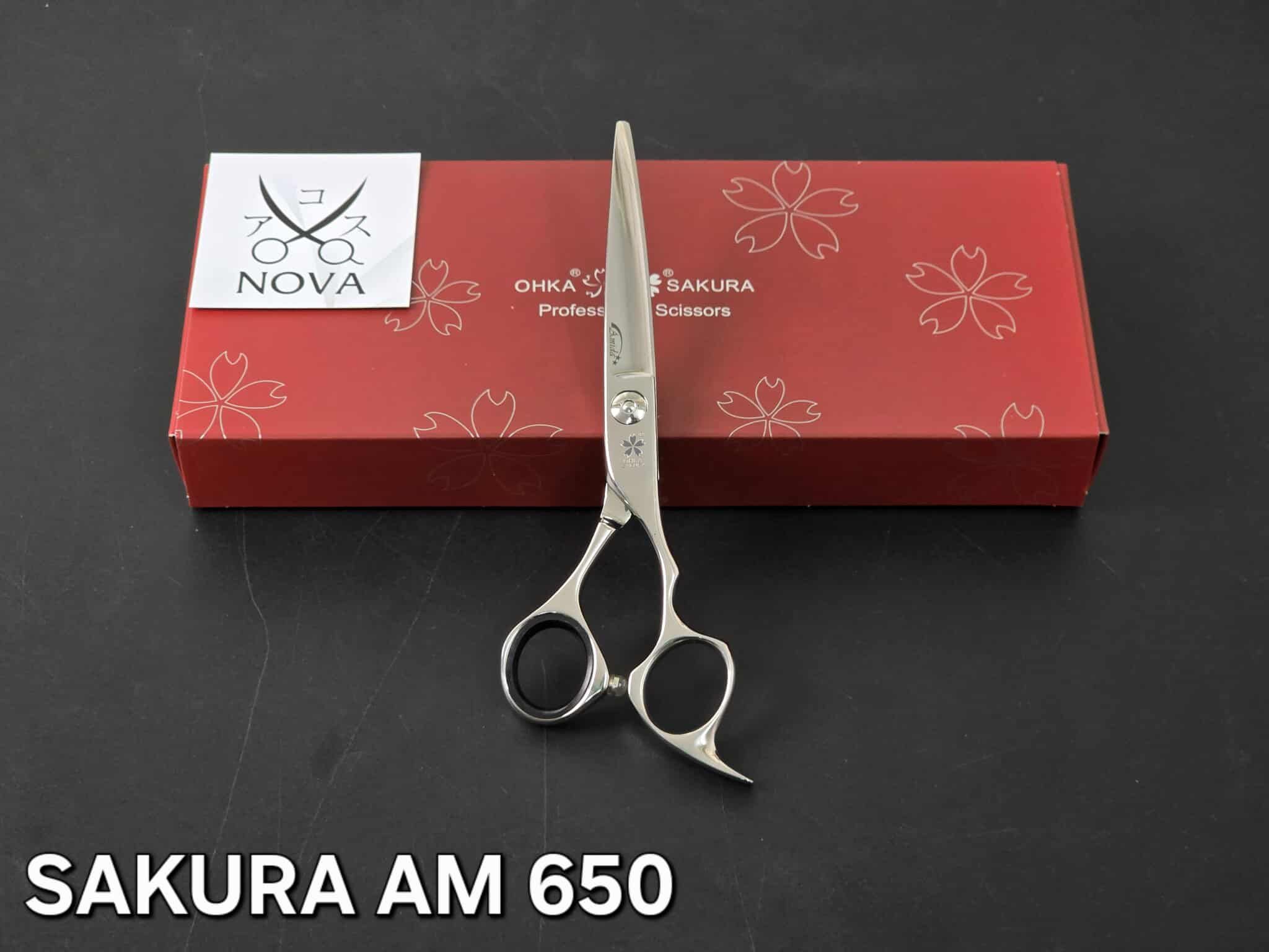  Sakura - Kéo mã AM 