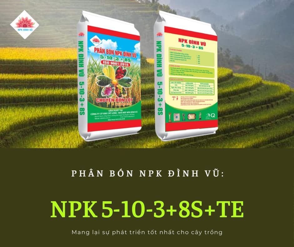  NPK 5-10-3+8S 