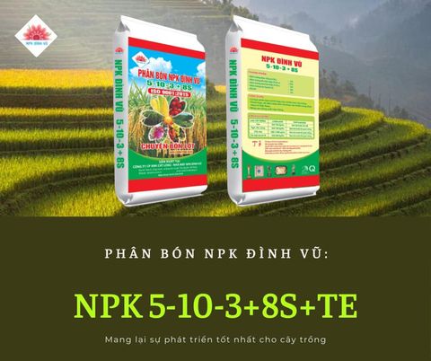  NPK 5-10-3+8S 