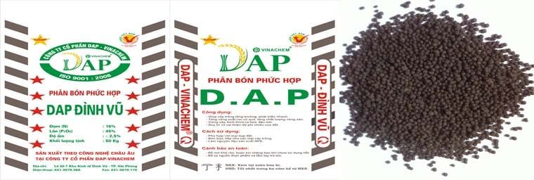  DAP NÂU ĐEN ĐÌNH VŨ 