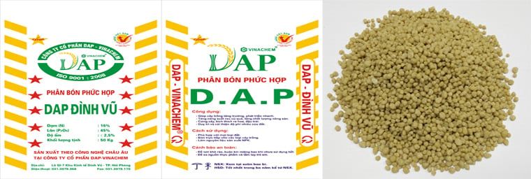  DAP VÀNG ĐÌNH VŨ 